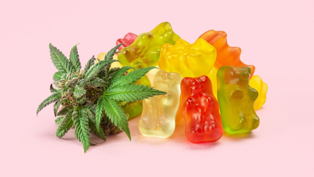 A colorful assortment of gummy bears is arranged on a light pink background. To the left of the gummy bears, a cannabis bud showcases its green leaves and trichomes, highlighting the precision that Gummygenix's gummy depositor achieves in producing these vibrant treats.