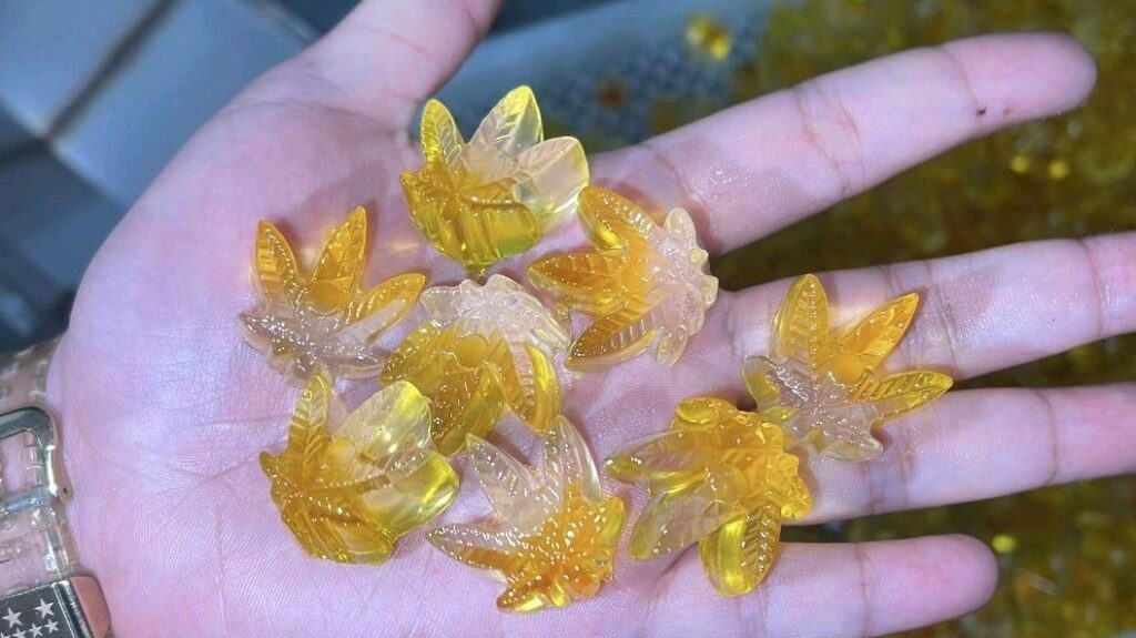 A hand holding several translucent, yellow gummy candies shaped like marijuana leaves, likely crafted using a SaintyCo gummy making machine. The background shows more yellow gummy candies scattered around.