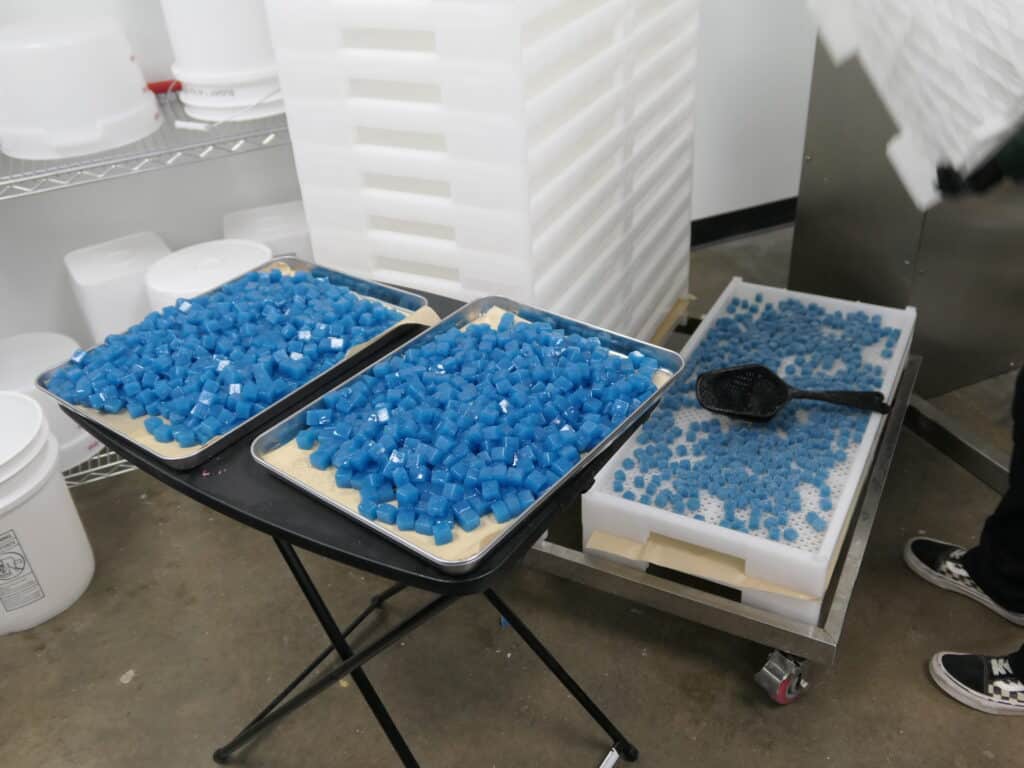 Trays filled with blue, cube-shaped objects are placed on a black foldable table and a white tray with a black scoop nearby. Stacks of empty white trays are visible in the background along with white buckets on a metal shelving unit, likely part of the gummy production process at GummyGenix.