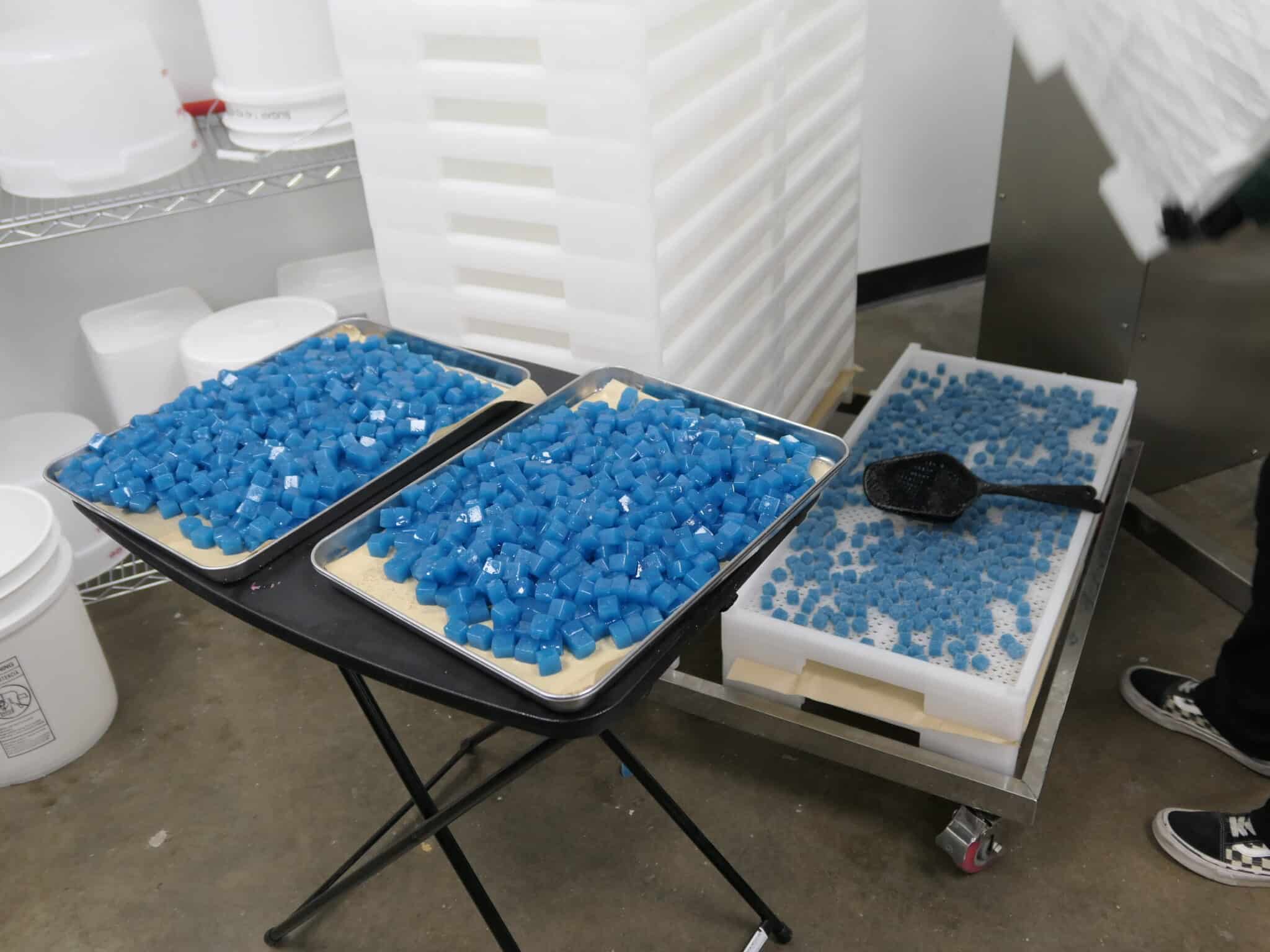 Drying trays stacked with gummies in a production facility