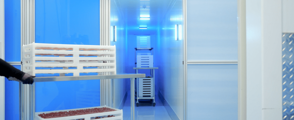 In the SaintyCo GummyGenix Client's drying room, a corridor with blue lighting showcases stacks of white trays filled with red items, likely berries, on metal shelves. A person wearing black gloves is partially visible, and a dolly with trays sits at the hallway's end.