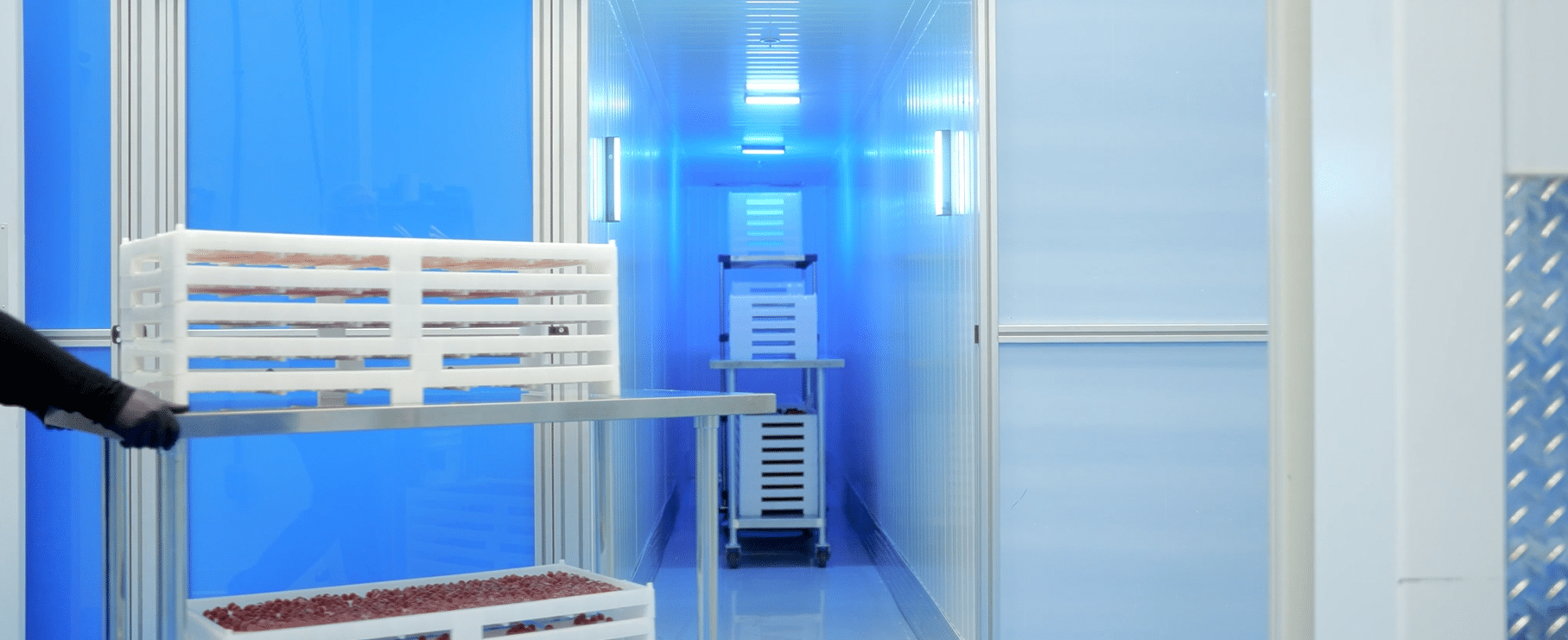 Versatile trays and dollies in a gummy production line