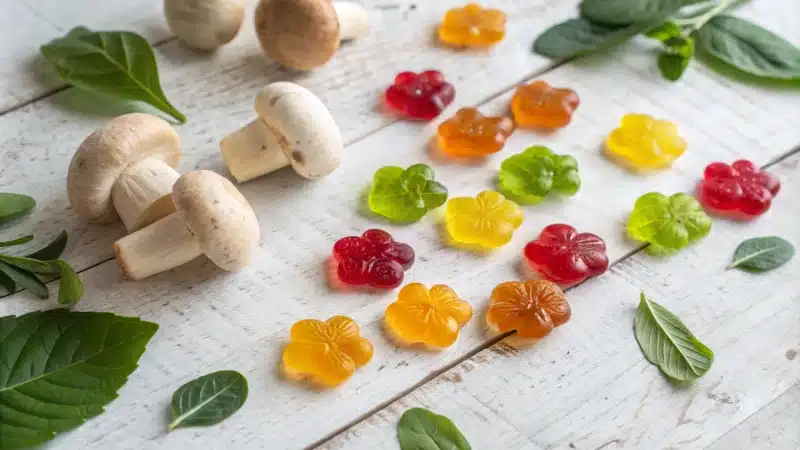 Flat lay of colorful mushroom gummies surrounded by fresh mushrooms and green leaves