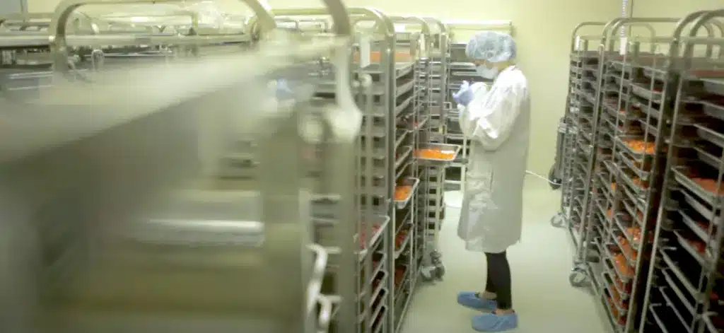 Technician inspecting sugar-free gummy candies in a curing room