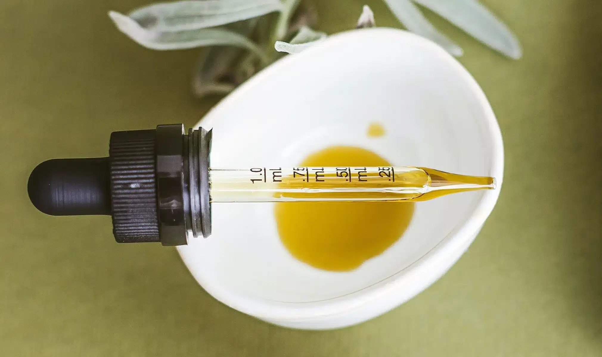 CBD extract