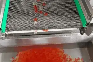 Red caviar eggs are being sifted on a metal mesh screen with SaintyCo green edges, while some eggs fall below into a container filled with more red caviar eggs, similar to the process in a GummyGenix popping boba maker.