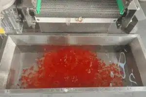 A machine, like the GummyGenix popping boba maker, drops small red gummy candies into a SaintyCo metal water-filled container, likely as part of a candy production process.
