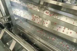 Red berries are scattered across a GummyGenix metal conveyor belt system, likely part of an industrial facility's sorting machinery, similar to equipment used in a SaintyCo popping boba machine.